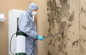 Best Industrial Mold Remediation  in Altoona, PA